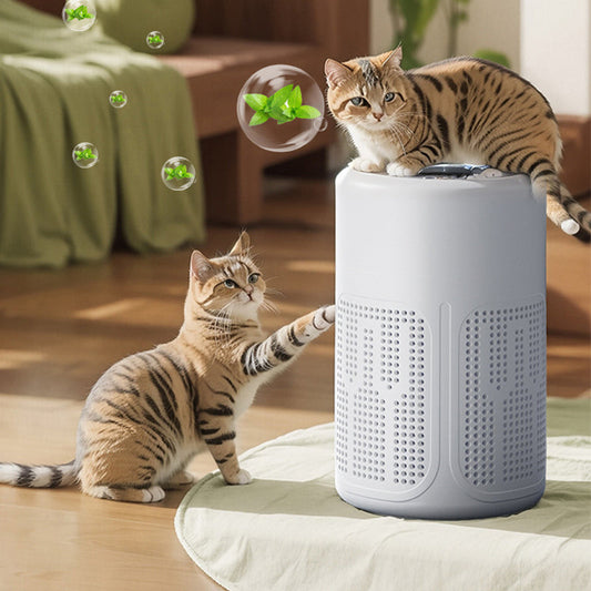 Compact Home Air Purifier – Quiet, energy-efficient, and perfect for allergy sufferers, dust, and pet hair